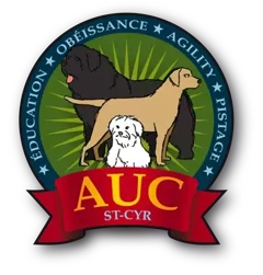 Logo de l'AUC Saint-Cyr : éducation, obéissance, agility, pistage